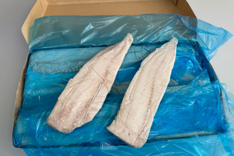 Dorsz czarny średni nowe zdjęcie 1.png