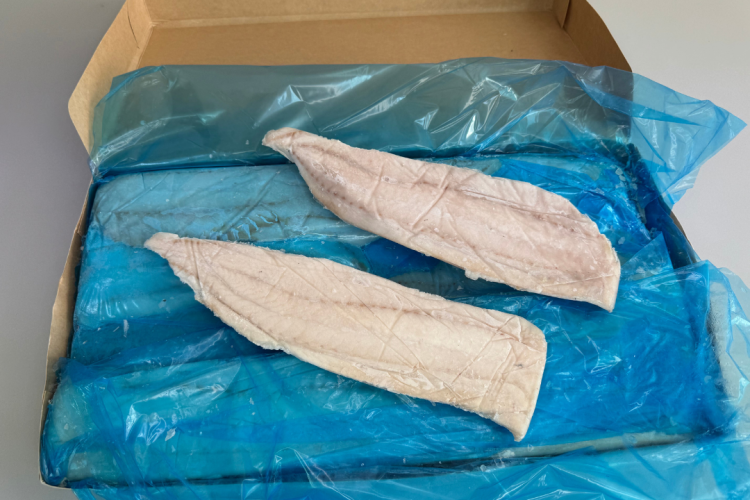 Dorsz czarny średni nowe zdjęcie 2.png