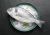 Dorada_krolewska_cala_patroszona.png