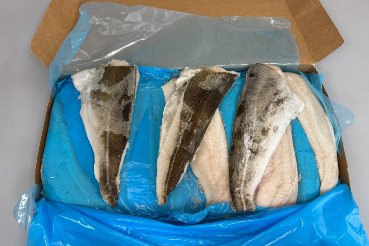 Dorsz_atlantycki_filet_ze_skora.png