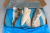 dorsz_filet.png