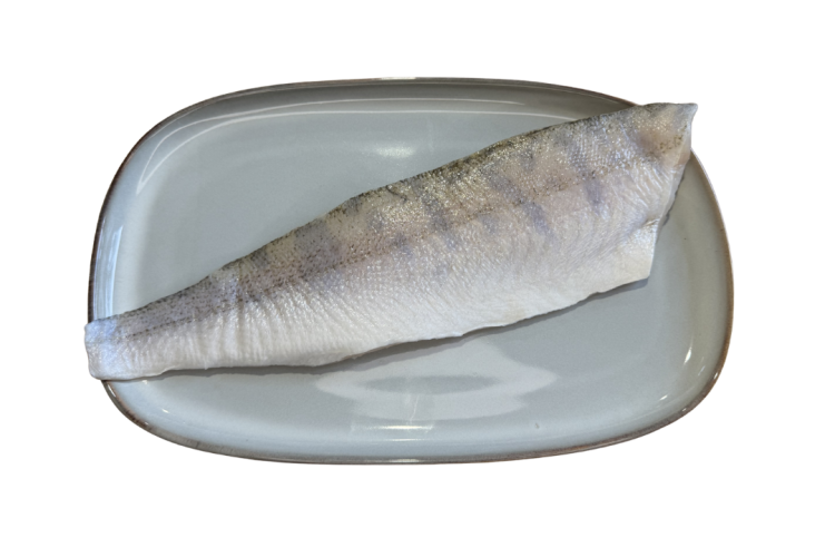 Sandacz_filet_ze_skora.png