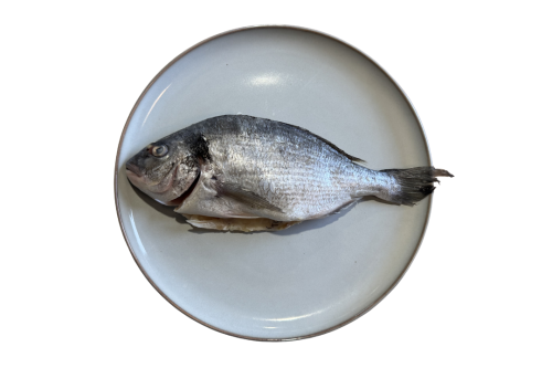 Dorada_krolewska_na_talerzu.png