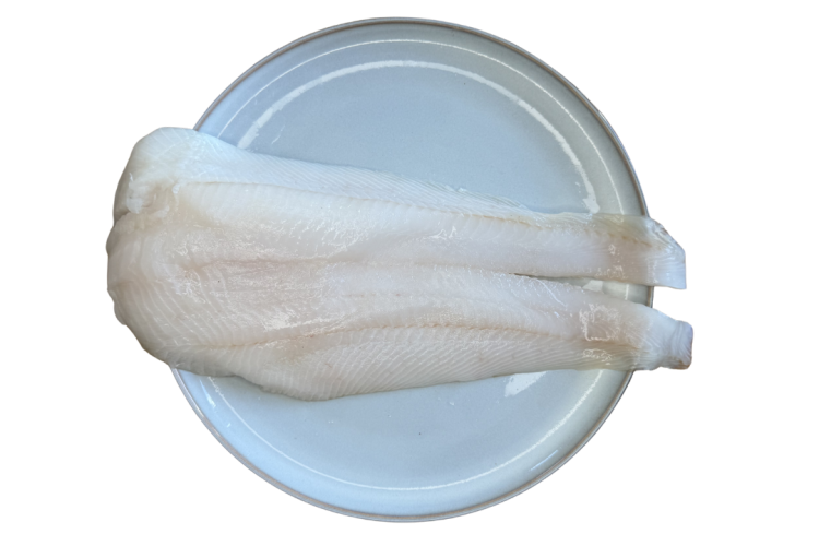 Halibut_grenlandzki_filet.png