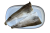 Filet_z_dorsza.png