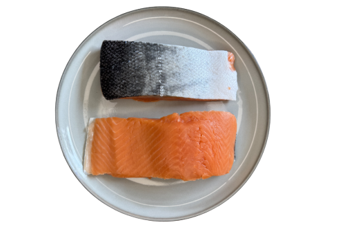 Łosoś_coho_chilijski.png