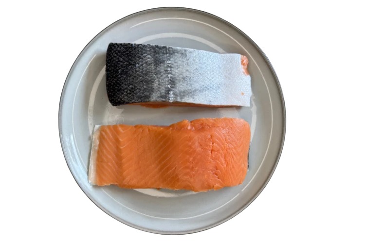 Łosoś_coho_chilijski.png