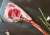 Tomahawk.png